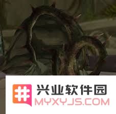 探秘魔兽世界魔藤碎片获取全攻略