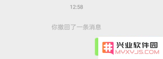 当您遇到恶意字符导致的Bug时，请立即采取以下处理措施以确保系统安全