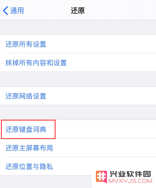 如何解决 iPhone 在打开输入键盘时系统卡顿的问题？