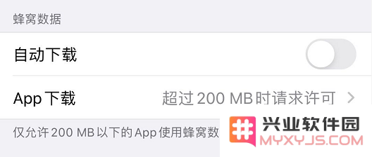 如何管理 iPhone 应用自动更新与下载？