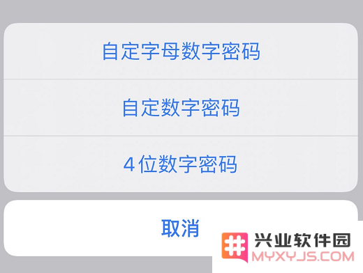 如何在佩戴口罩的情况下更快地解锁 iPhone？
