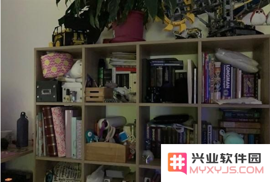 新款iPhone SE的夜拍性能表现如何？是否带来了令人惊喜的提升？