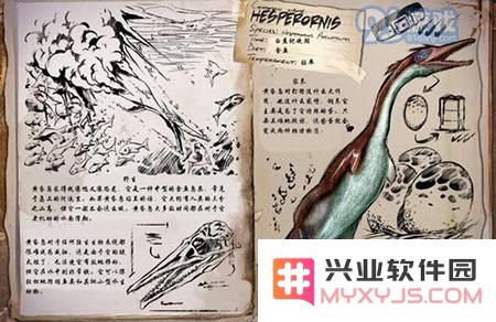 在方舟生存进化中，黄昏鸟金蛋的来源揭秘以及其在游戏中的用途详解