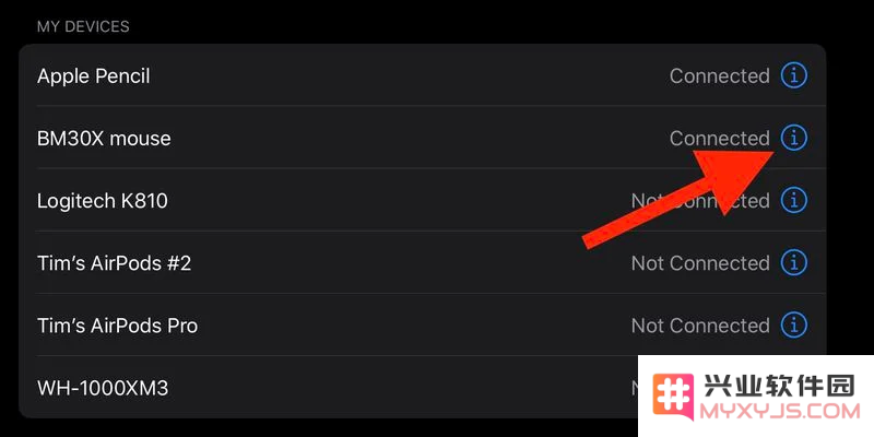 iPad 如何连接 Magic Mous 或妙控板？