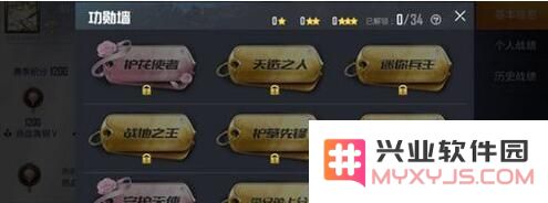 和平精英功勋墙详细介绍及其获得条件全解析