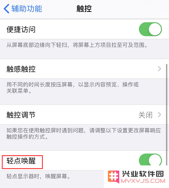 如何在 iPhone 11 中启用“轻点唤醒”和“抬起唤醒”功能的详细步骤