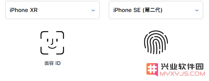 苹果新 iPhone SE 与 iPhone XR 对比：看看哪款更适合你