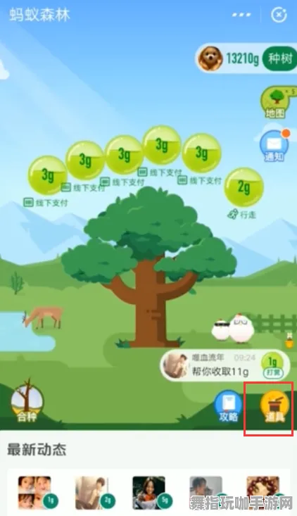 →紧急｜指南 紧急｜电竞赛事｜蚂蚁森林道具兑换攻略
