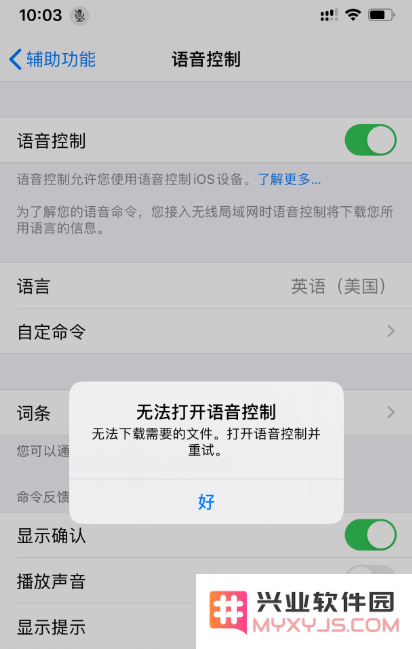 如何解决iPhone 11提示“无法打开语音控制”，导致无法下载所需文件的问题？