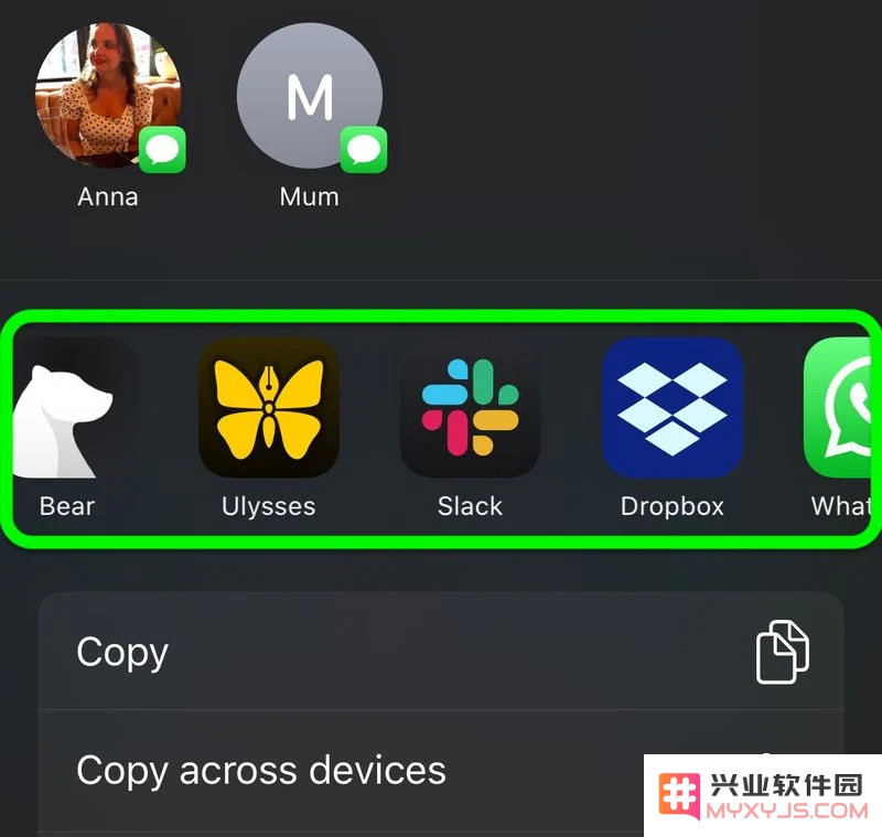 如何自定义 iPhone  的共享菜单？