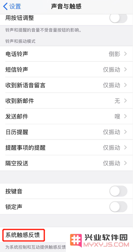 如何对 iPhone 11 的系统触感反馈进行个性化设置以提升用户体验？