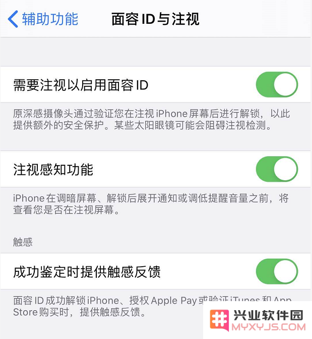 iPhone 11 系统触感反馈如何设置？