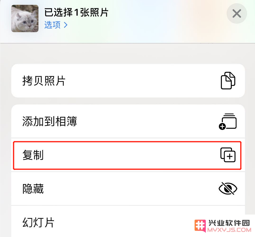 iPhone 11 照片编辑小技巧：巧用“复制”功能保留原片