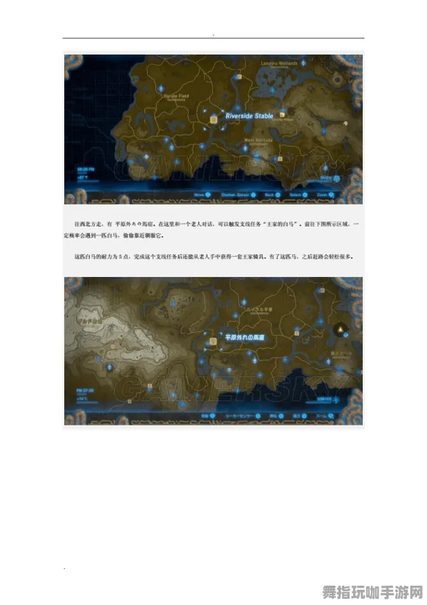 《塞尔达传说》隐藏任务触发-实时更新-每日热修-抖音小游戏-模拟经营