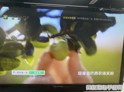 《恋与制作人》提升排位攻略-暑季必玩游戏-VR一体机体验-脑机接口2.0深入分析-隐藏任务详解（本内容仅限技术探讨）