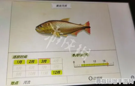 《动物森友会》钓鱼点位-2025春季最新优化-PlayStation 5-脑机接口2.0-天赋加点方案（本内容仅限技术研究）