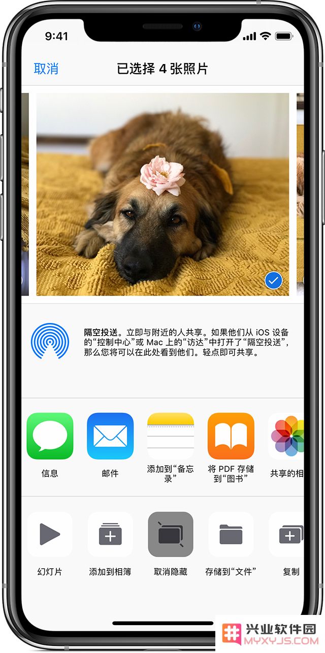 如何找回 iPhone 相册中丢失的照片？