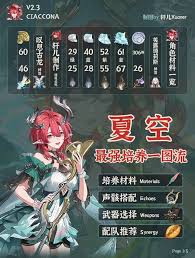 鸣潮夏空的全方位培养策略与技巧分享，助你快速提升游戏角色实力