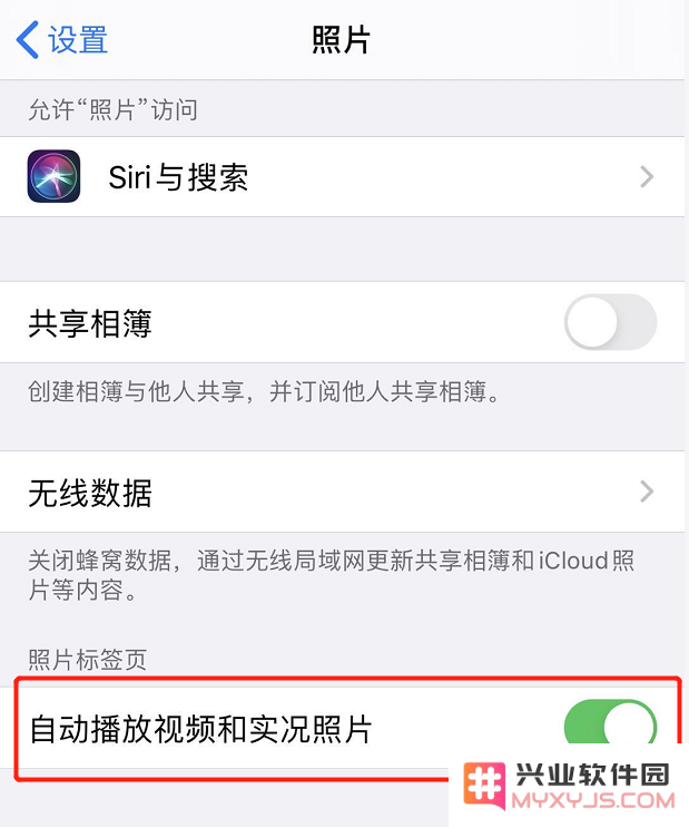 在 iPhone 11 中“照片”应用的三个实用小技巧，让您的照片管理更高效