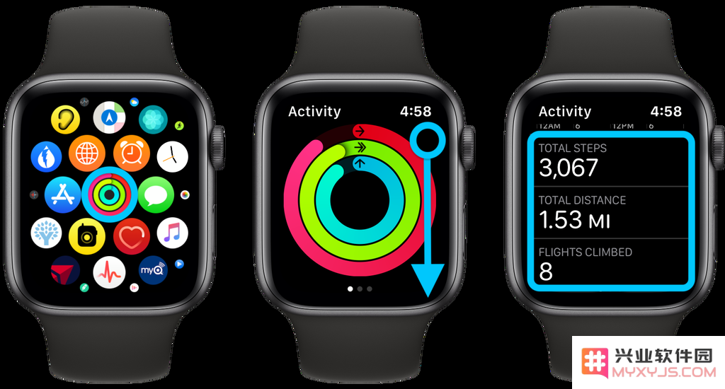如何利用 Apple Watch 进行步数、距离以及爬楼层数的有效追踪与管理？