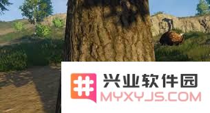 在失控进化的情况下，优先获取那些关键资源才能有效提升生存与发展
