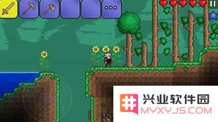 泰拉瑞亚月神战斗详解与技巧分享，如何轻松击败月神的攻略方法