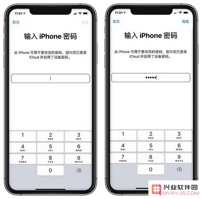 如何使用锁屏密码修改 Apple ID 密码？