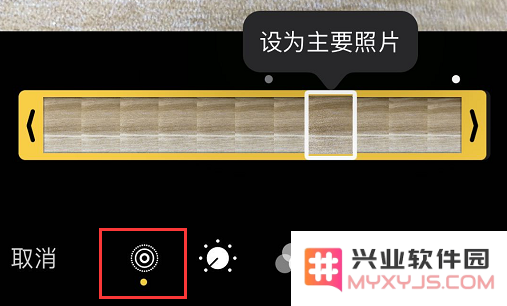 怎样在 iPhone 上将实况照片轻松转换为静态图片以便保存和分享？