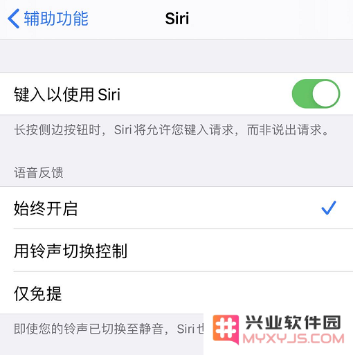 iOS 13 小技巧：让 Siri 陪你玩“成语接龙”