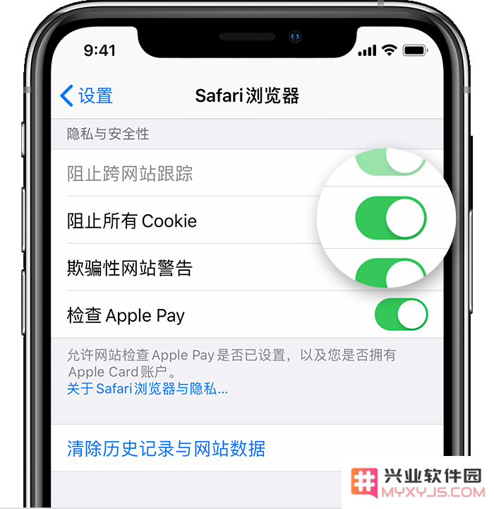 如何清除 Safari 浏览器中的历史记录和 Cookie？