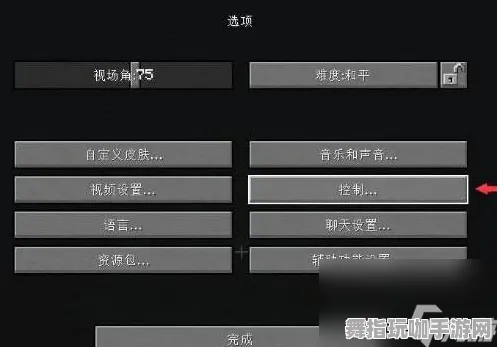 《我的世界》控制设置-2025春季版本优化-针对Vision Pro进行适配-全新模拟经营体验