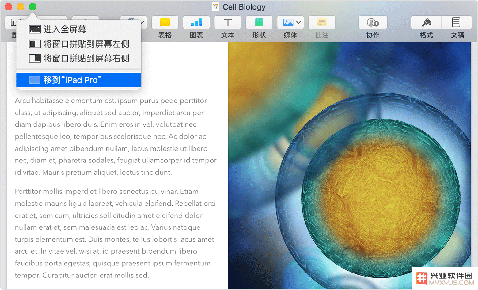 如何借助“随航”功能将电脑画面转移至 iPad？