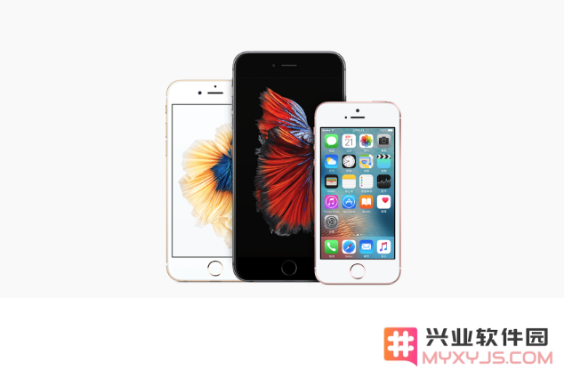 详细步骤教你如何通过苹果官方售后服务来维修你的 iPhone 设备