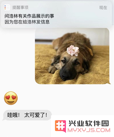 升级 iOS 13 后，这些操作你会了吗？