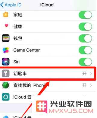 iPhone 11设置iCloud钥匙串方法教程