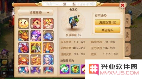 梦幻西游血宠龟丞相的全面培养策略与技巧分析