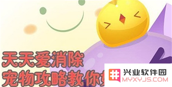天天爱消除宠物选择技巧大全 让我们一起挑选可爱萌宠，珍惜每一次游戏之旅