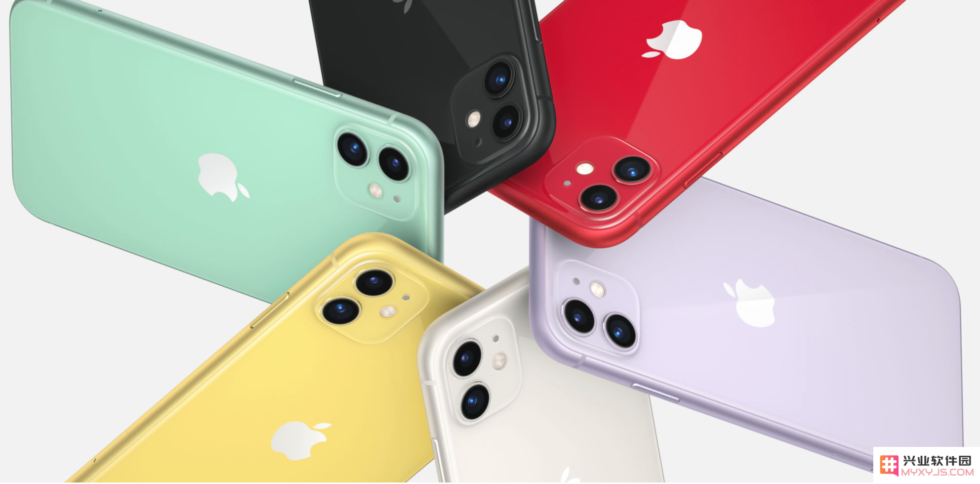 面对苹果iPhone 11手机屏幕进水导致失灵的情况，我们该如何有效处理和修复呢？