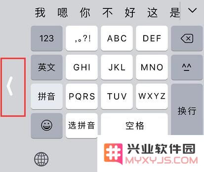 手小的用户使用大屏 iPhone 的三个小技巧