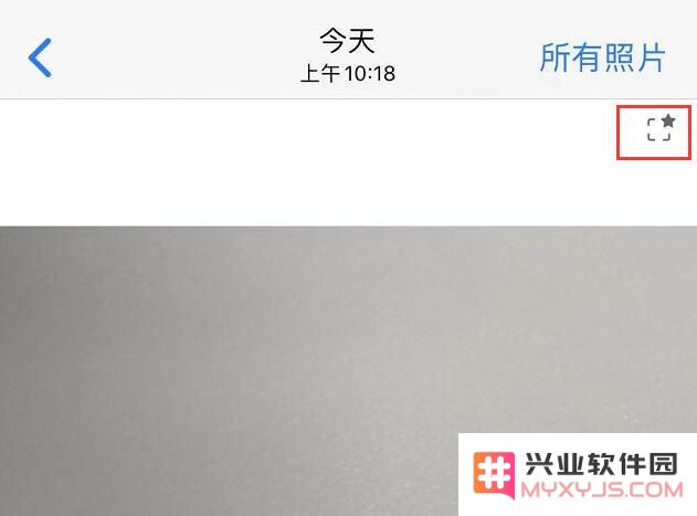 关于 iPhone 11 照片右上角星形标志的详细解读与功能说明是什么？