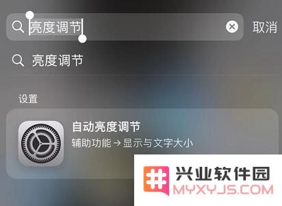 iPhone 小技巧：使用“搜索栏”快速找到所需要的设置