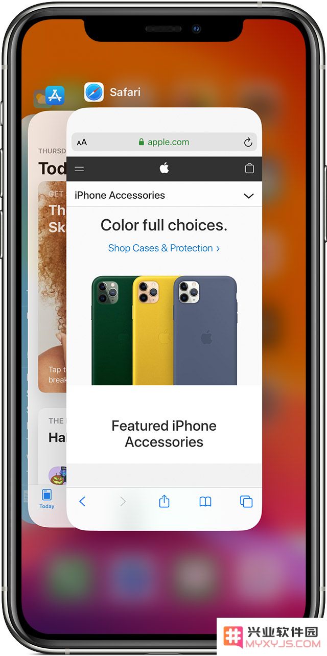 iPhone 11 的实用手势操作技巧大揭秘，让你更高效使用手机的必备指南