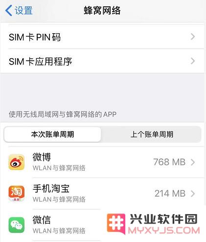 当新安装的iPhone应用无法连接互联网时该如何解决？