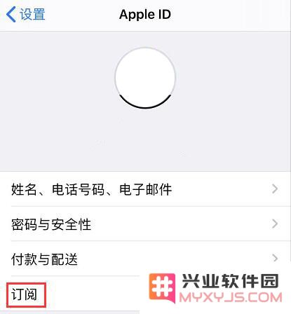 iOS 13 新功能深度解析：更加便捷的订阅管理技巧分享