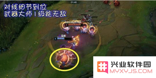英雄联盟挡技能的装备