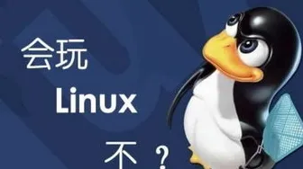 《重返未来：1999》服务器选择-暑期必玩-Linux专属-跨平台联机