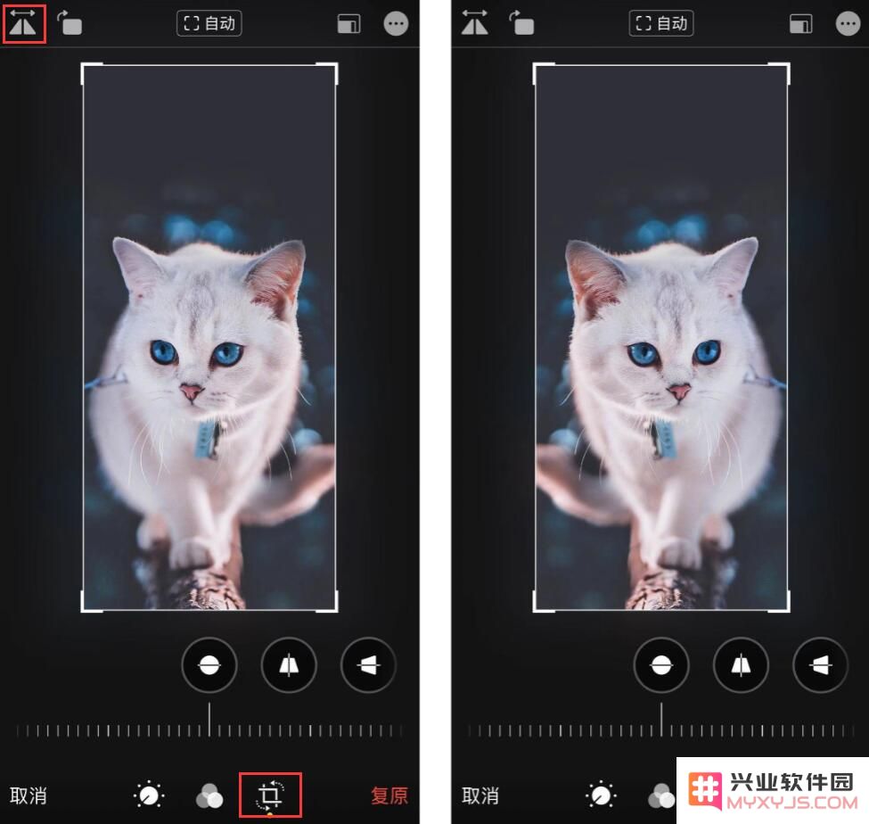 解决 iPhone 前置摄像头拍照显现镜像效果的问题，快来体验 iOS 13 的强大照片编辑功能！