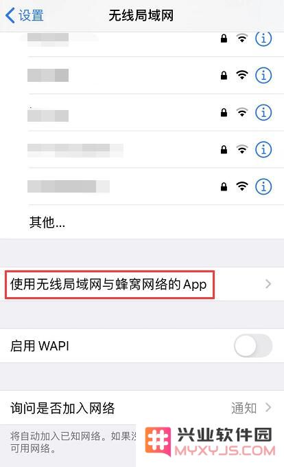 如何解决 iPhone 11 无法正常连接 App Store 的问题与建议