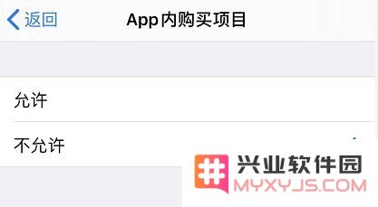 iOS 13 如何有效避免误操作付款？