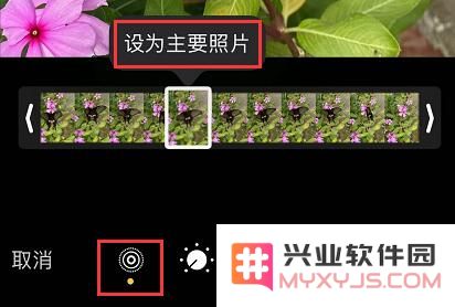 iPhone 11/11 Pro 编辑实况照片的三个小技巧